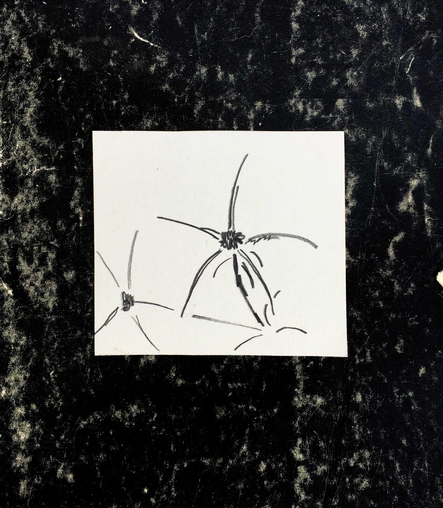 31aug22 pencil on paper 4x3in 10x9cm