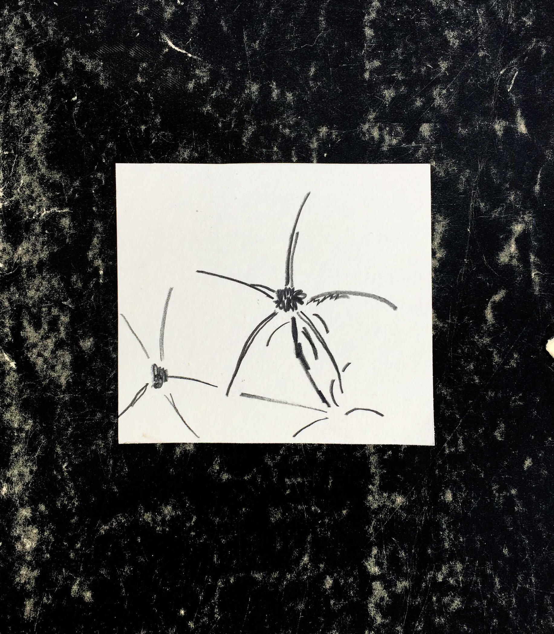 31aug22 pencil on paper 4x3in 10x9cm