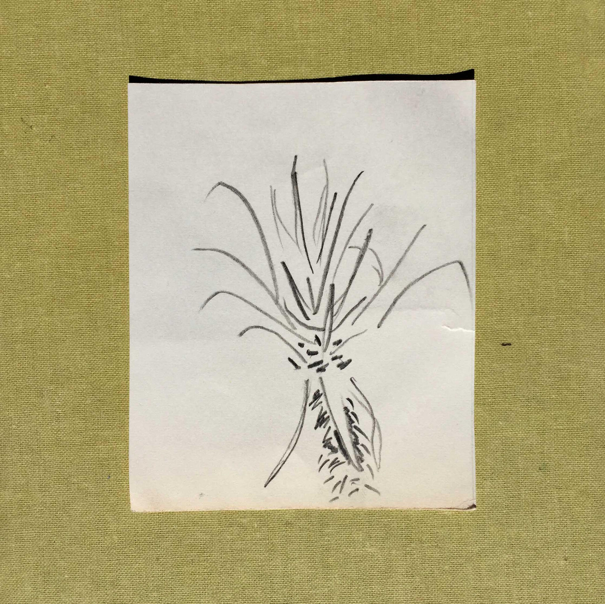 7sept22 pencil on paper 4x4in 9x11cm